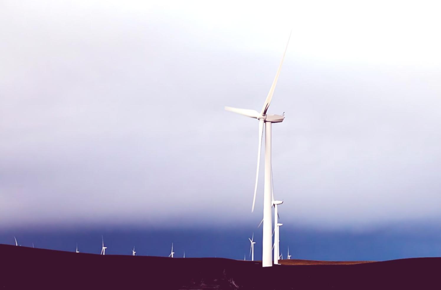 Environnement d'étude bien organisé avec éclairage naturel